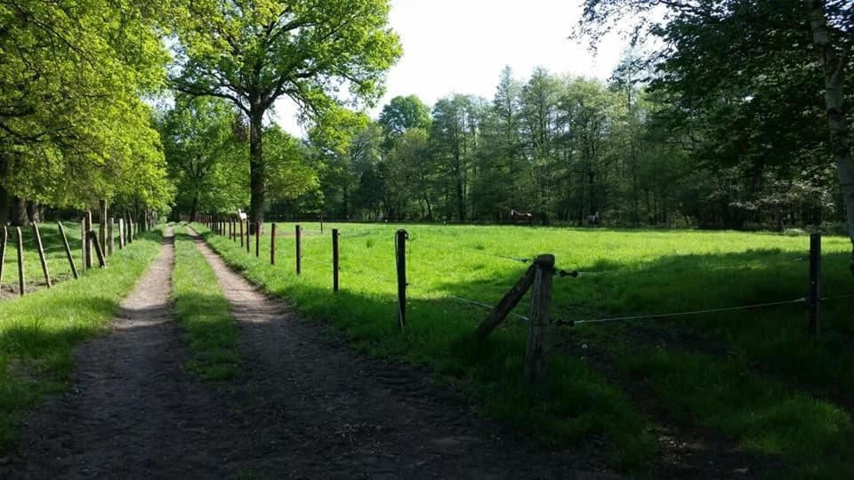 Het Innerhof Opglabbeek Dış mekan fotoğraf